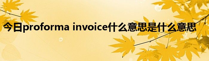 今日proforma invoice什么意思是什么意思