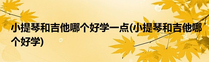 小提琴和吉他哪个好学一点(小提琴和吉他哪个好学)