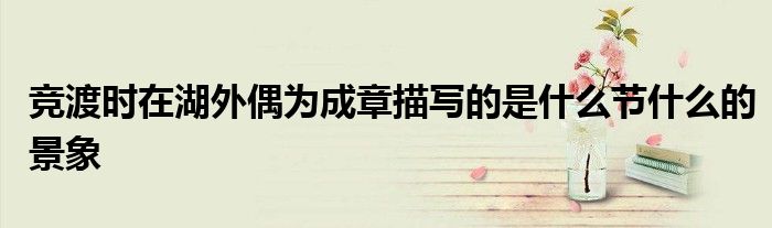 竞渡时在湖外偶为成章描写的是什么节什么的景象