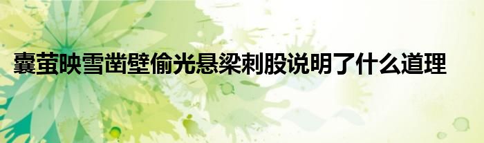 囊萤映雪凿壁偷光悬梁刺股说明了什么道理