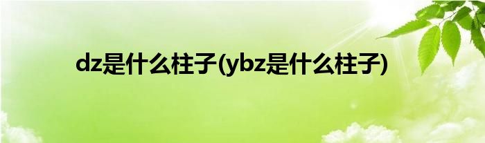 dz是什么柱子(ybz是什么柱子)