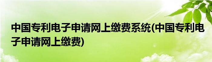 中国专利电子申请网上缴费系统(中国专利电子申请网上缴费)
