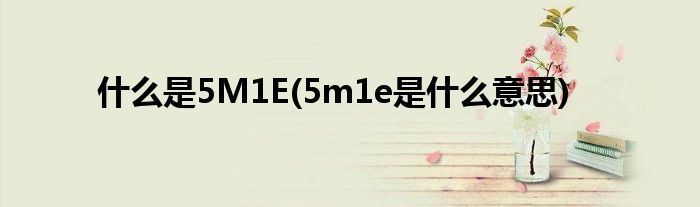 什么是5M1E(5m1e是什么意思)