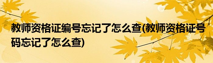 教师资格证编号忘记了怎么查(教师资格证号码忘记了怎么查)