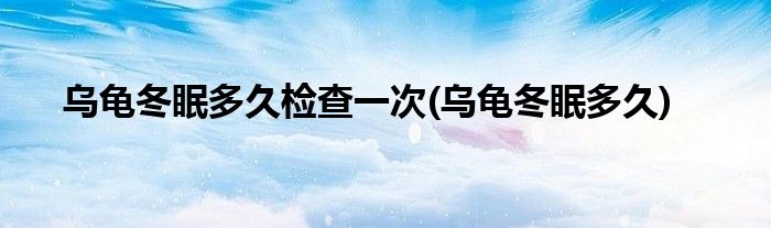 乌龟冬眠多久检查一次(乌龟冬眠多久)