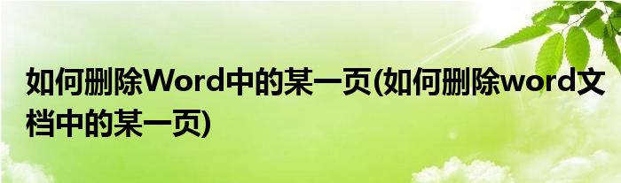 如何删除Word中的某一页(如何删除word文档中的某一页)