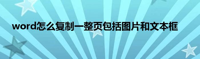 word怎么复制一整页包括图片和文本框
