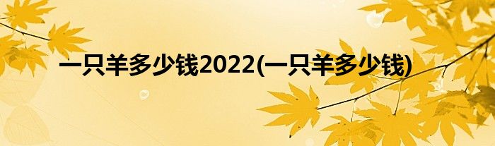 一只羊多少钱2022(一只羊多少钱)