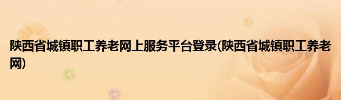 陕西省城镇职工养老网上服务平台登录(陕西省城镇职工养老网)