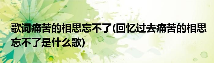 歌词痛苦的相思忘不了(回忆过去痛苦的相思忘不了是什么歌)