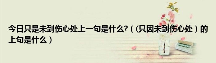 今日只是未到伤心处上一句是什么?（(只因未到伤心处）的上句是什么）