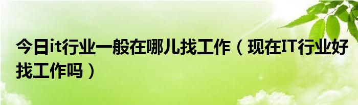 今日it行业一般在哪儿找工作（现在IT行业好找工作吗）