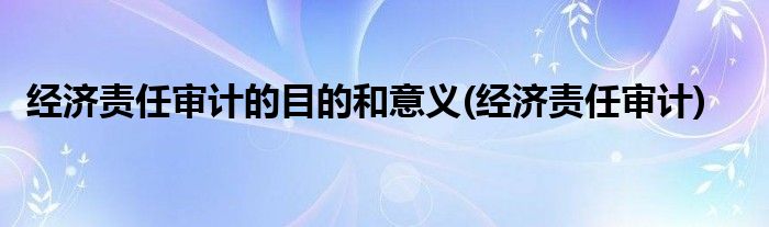 经济责任审计的目的和意义(经济责任审计)