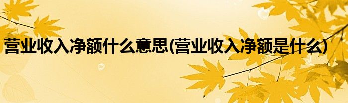 营业收入净额什么意思(营业收入净额是什么)
