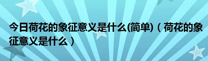 今日荷花的象征意义是什么(简单)（荷花的象征意义是什么）