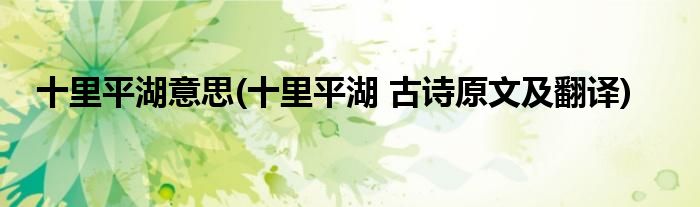 十里平湖意思(十里平湖 古诗原文及翻译)