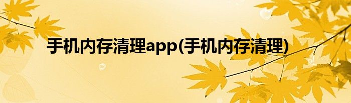 手机内存清理app(手机内存清理)