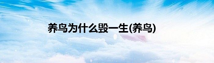 养鸟为什么毁一生(养鸟)
