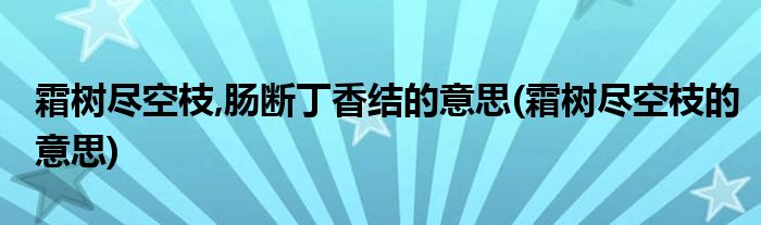霜树尽空枝,肠断丁香结的意思(霜树尽空枝的意思)