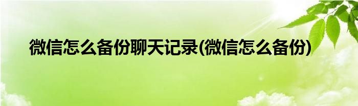 微信怎么备份聊天记录(微信怎么备份)
