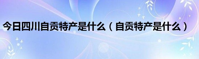 今日四川自贡特产是什么（自贡特产是什么）