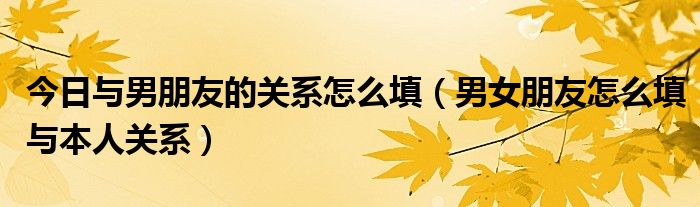 今日与男朋友的关系怎么填（男女朋友怎么填与本人关系）