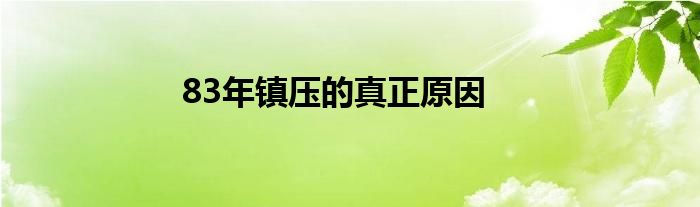 83年镇压的真正原因