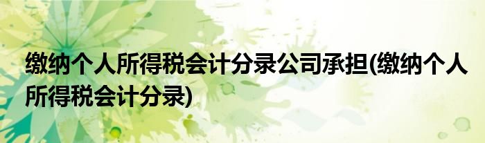 缴纳个人所得税会计分录公司承担(缴纳个人所得税会计分录)