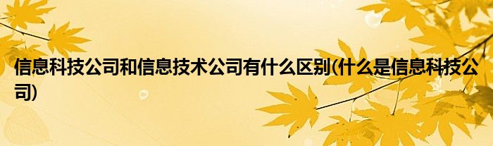 信息科技公司和信息技术公司有什么区别(什么是信息科技公司)