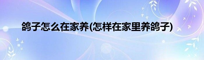 鸽子怎么在家养(怎样在家里养鸽子)