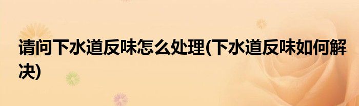 请问下水道反味怎么处理(下水道反味如何解决)