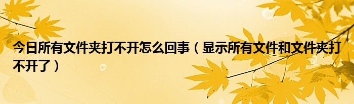今日所有文件夹打不开怎么回事（显示所有文件和文件夹打不开了）