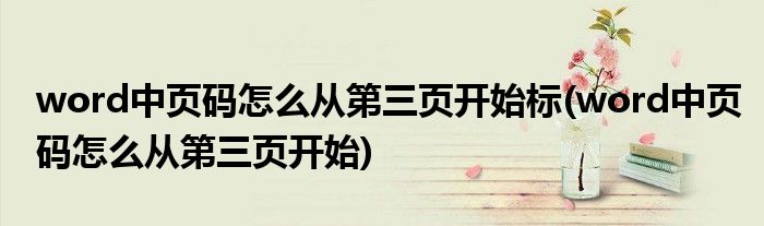 word中页码怎么从第三页开始标(word中页码怎么从第三页开始)