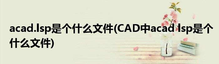 acad.lsp是个什么文件(CAD中acad lsp是个什么文件)