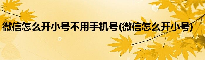 微信怎么开小号不用手机号(微信怎么开小号)