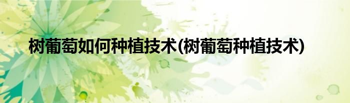 树葡萄如何种植技术(树葡萄种植技术)