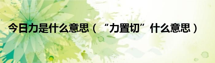 今日力是什么意思（“力置切”什么意思）