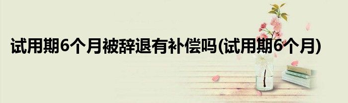 试用期6个月被辞退有补偿吗(试用期6个月)