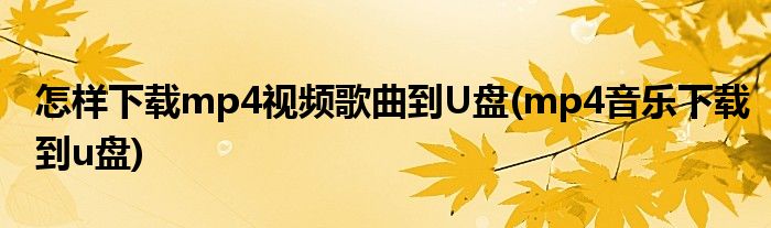 怎样下载mp4视频歌曲到U盘(mp4音乐下载到u盘)