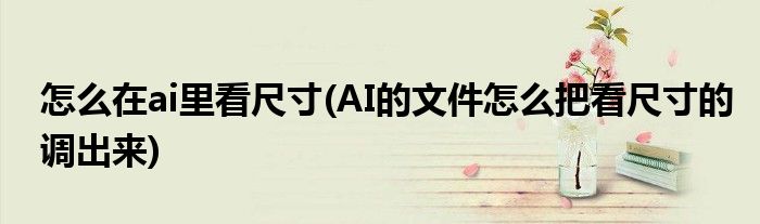怎么在ai里看尺寸(AI的文件怎么把看尺寸的调出来)