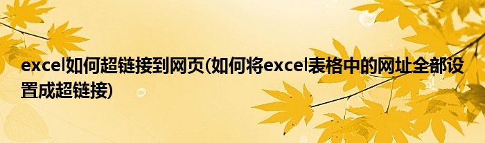 excel如何超链接到网页(如何将excel表格中的网址全部设置成超链接)
