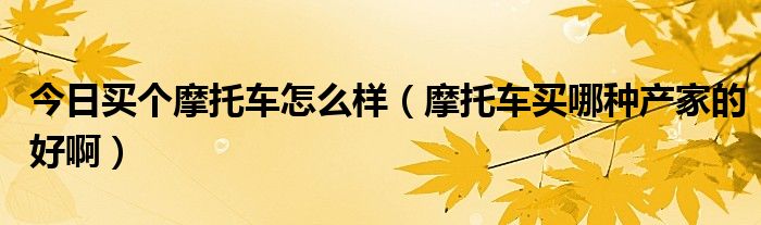 今日买个摩托车怎么样（摩托车买哪种产家的好啊）