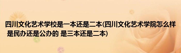 四川文化艺术学校是一本还是二本(四川文化艺术学院怎么样 是民办还是公办的 是三本还是二本)