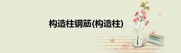 构造柱钢筋(构造柱)