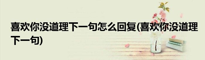 喜欢你没道理下一句怎么回复(喜欢你没道理下一句)