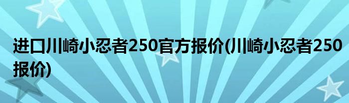 进口川崎小忍者250官方报价(川崎小忍者250报价)