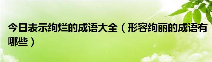 今日表示绚烂的成语大全（形容绚丽的成语有哪些）