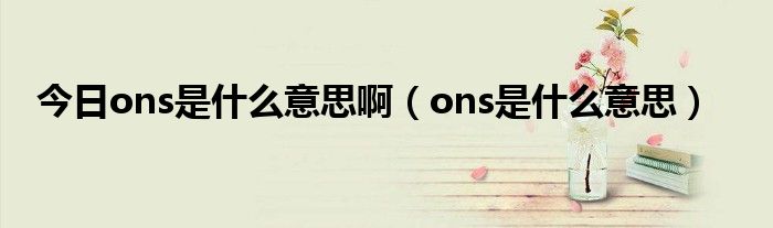 今日ons是什么意思啊（ons是什么意思）
