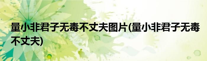 量小非君子无毒不丈夫图片(量小非君子无毒不丈夫)