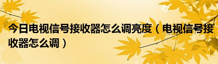 今日电视信号接收器怎么调亮度（电视信号接收器怎么调）